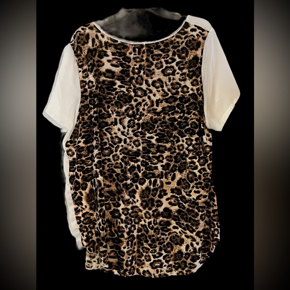 Women’s 3X  Animal Print Caren Sport Sheer Leopard Print  Blouse. - Picture 5 of 5